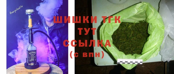 СК Волосово